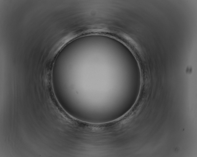 X0000091661361200708231255