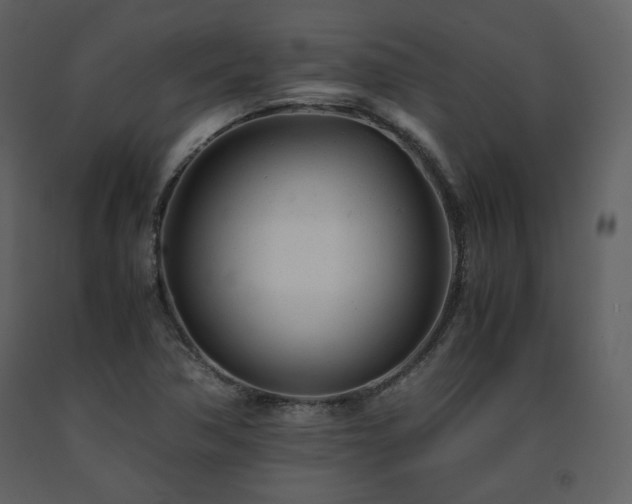 X0000091661362200708231255