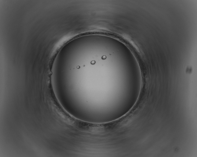 X0000091661363200708231255