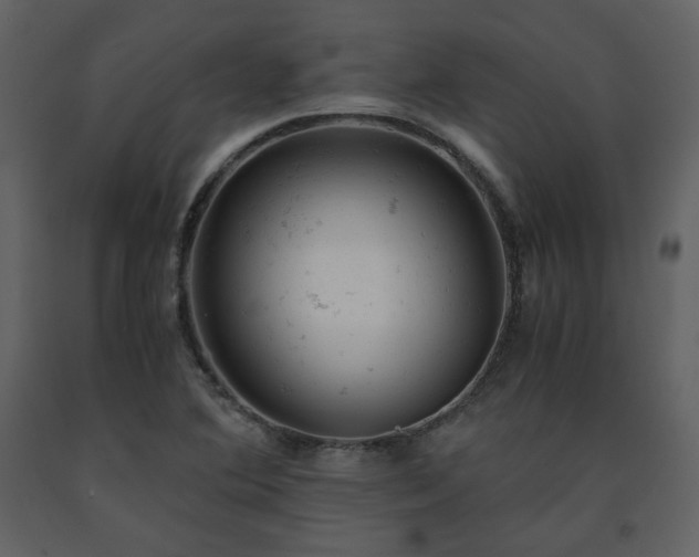 X0000091661364200708231255