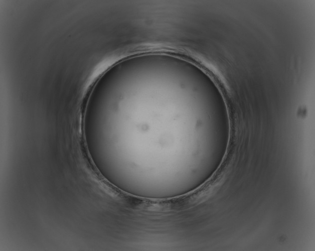 X0000091661365200708231255