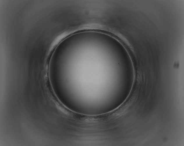 X0000091661366200708231255