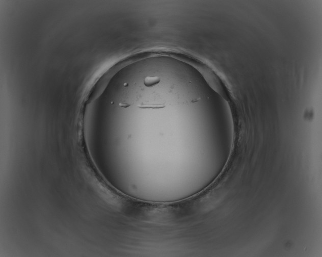 X0000091661367200708231255