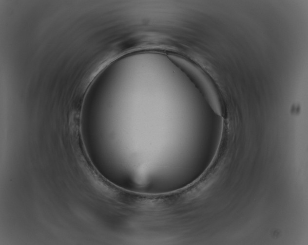 X0000091661369200708231255