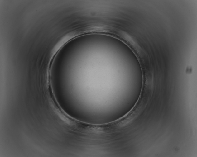 X0000091661370200708231255