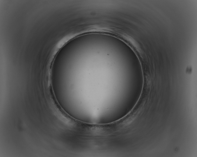 X0000091661371200708231255