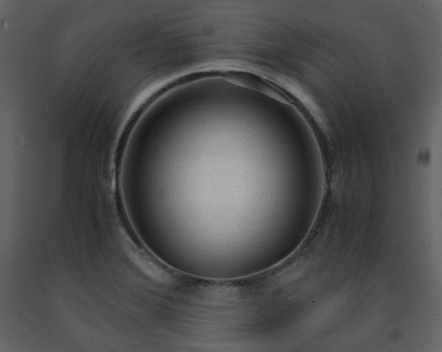 X0000091661372200708231255