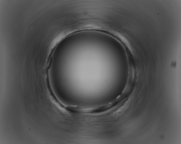 X0000091661373200708231255