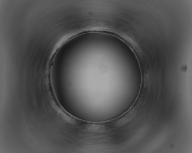 X0000091661374200708231255