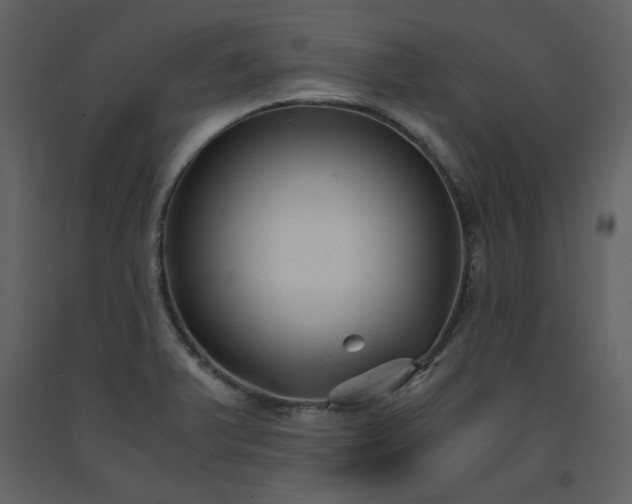X0000091661375200708231255