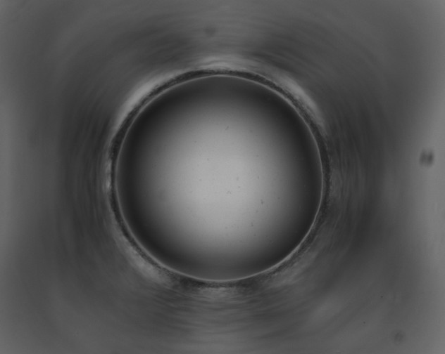 X0000091661376200708231255