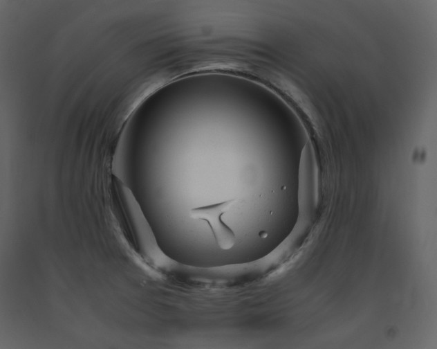 X0000091661377200708231255