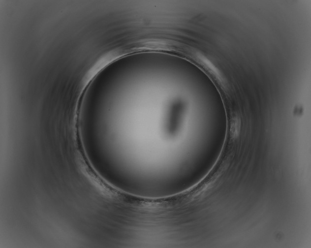 X0000091661378200708231255