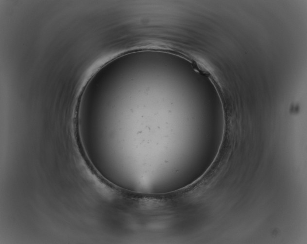 X0000091661379200708231255