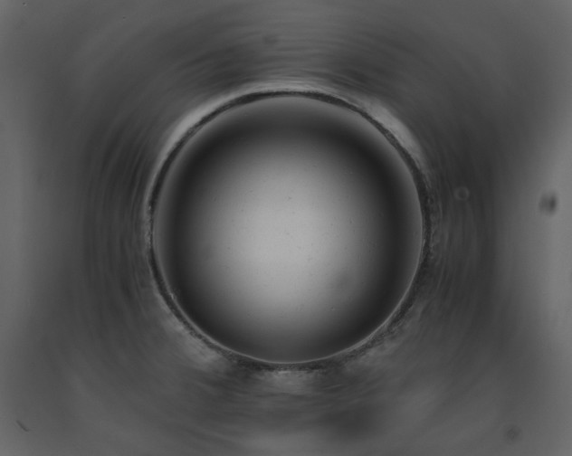 X0000091661380200708231255