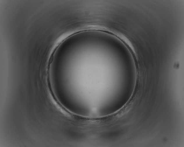 X0000091661381200708231255