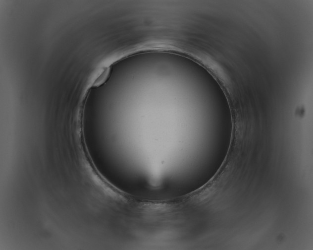 X0000091661382200708231255