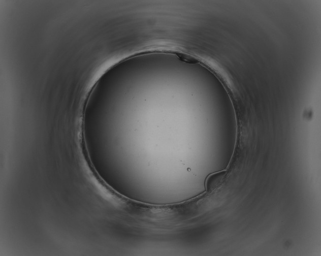 X0000091661383200708231255
