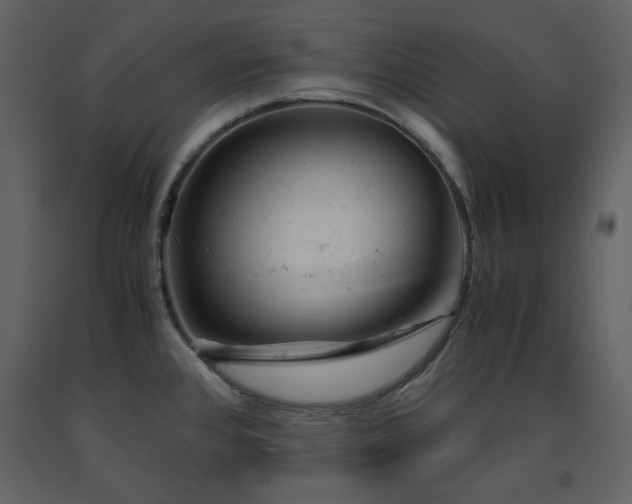 X0000091661384200708231255