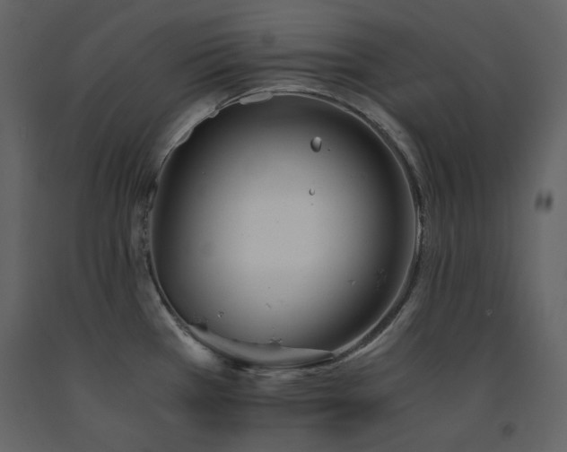 X0000091661385200708231255