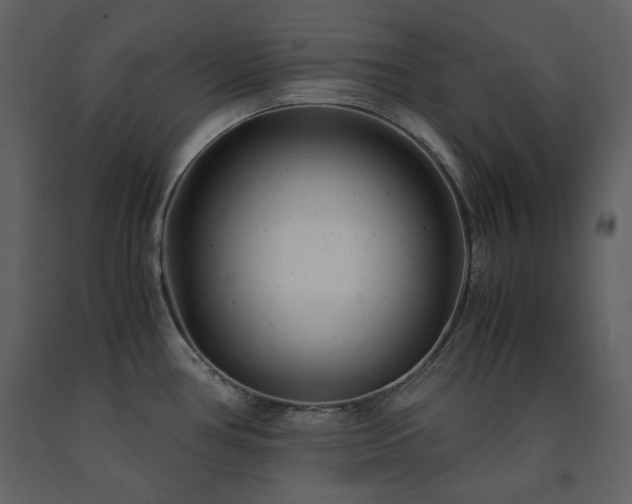 X0000091661386200708231255