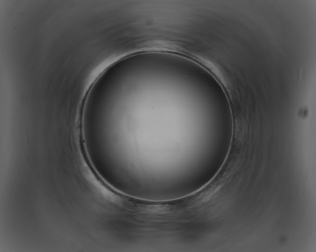 X0000091661387200708231255