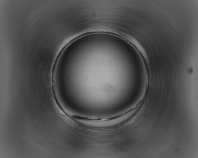 X0000091661388200708231255