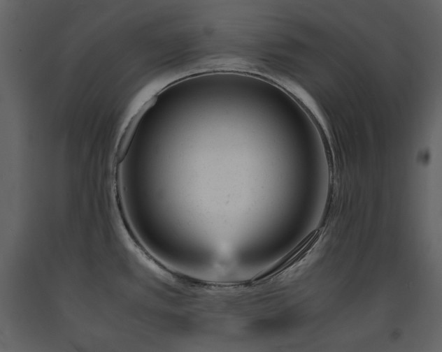 X0000091661389200708231255