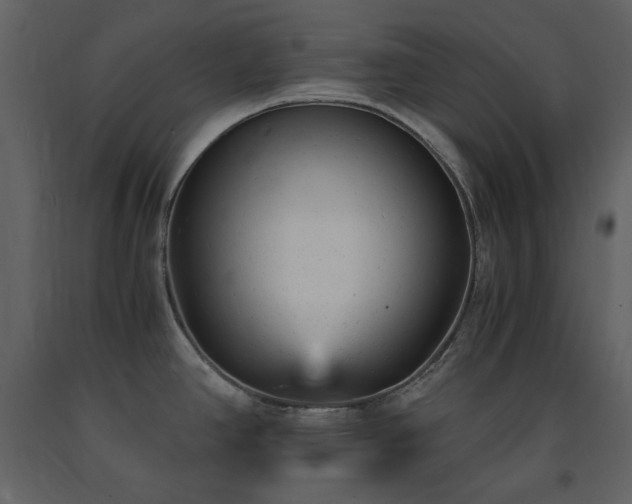 X0000091661390200708231255