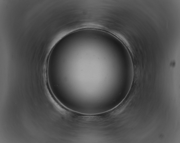 X0000091661391200708231255