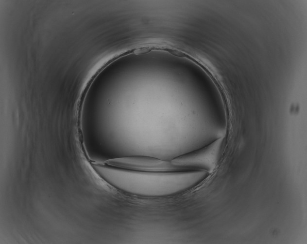 X0000091661392200708231255