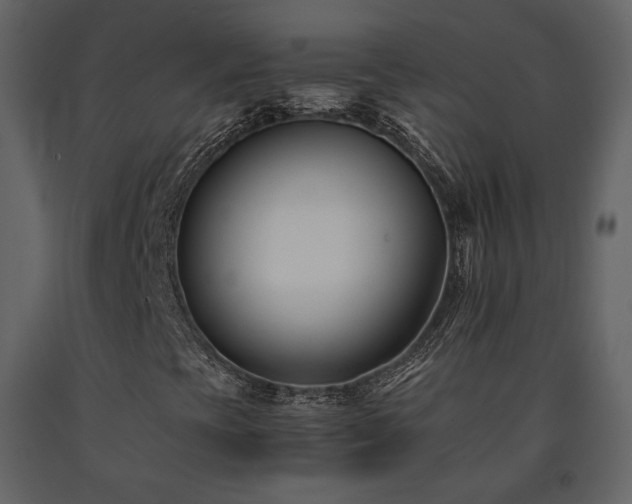 X0000091661393200708231254