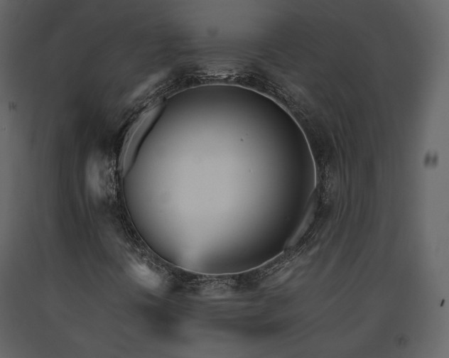 X0000091661394200708231254