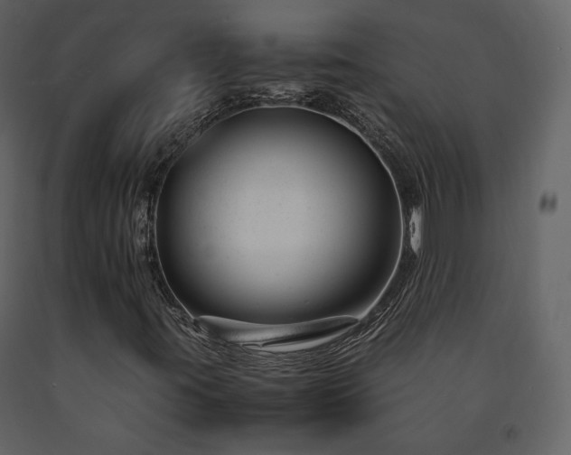 X0000091661395200708231254