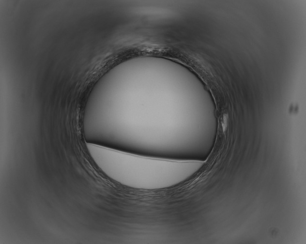 X0000091661396200708231254