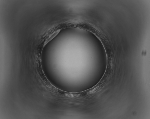 X0000091661397200708231254