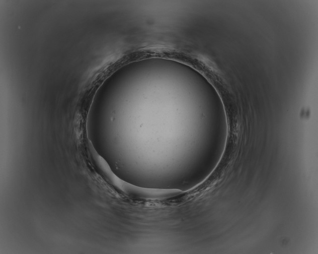 X0000091661398200708231254