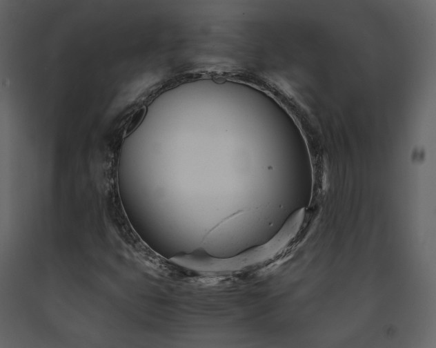 X0000091661399200708231254