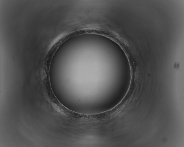 X0000091661400200708231254