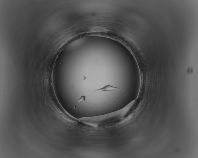 X0000091661401200708231254