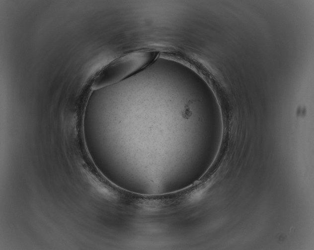 X0000091661402200708231254