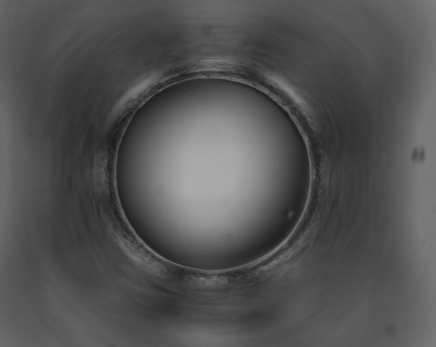 X0000091661403200708231254