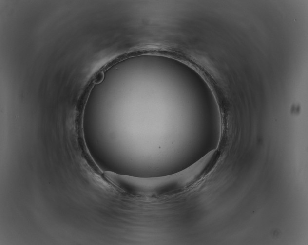 X0000091661404200708231254
