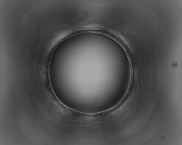 X0000091661405200708231254
