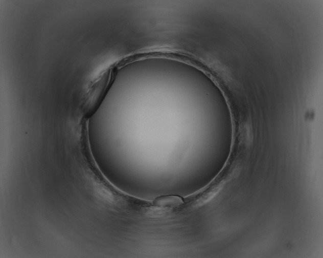 X0000091661406200708231254