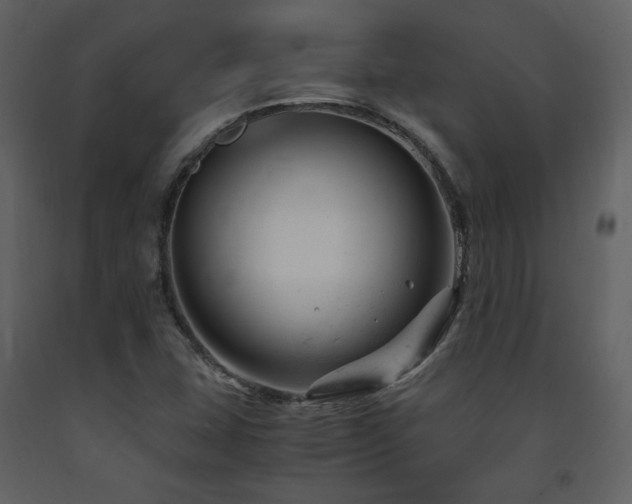 X0000091661407200708231254