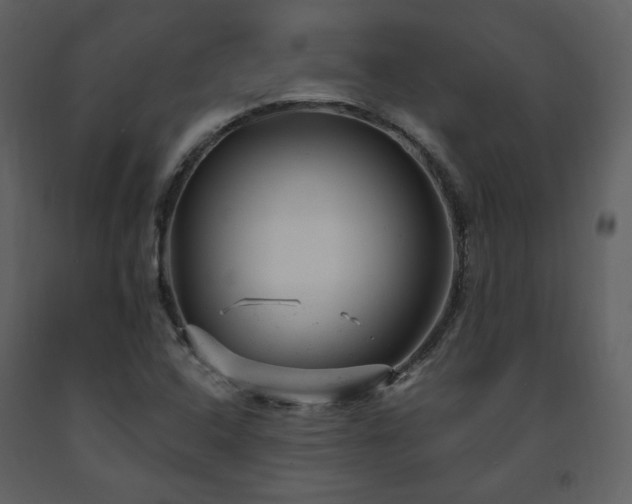 X0000091661408200708231254