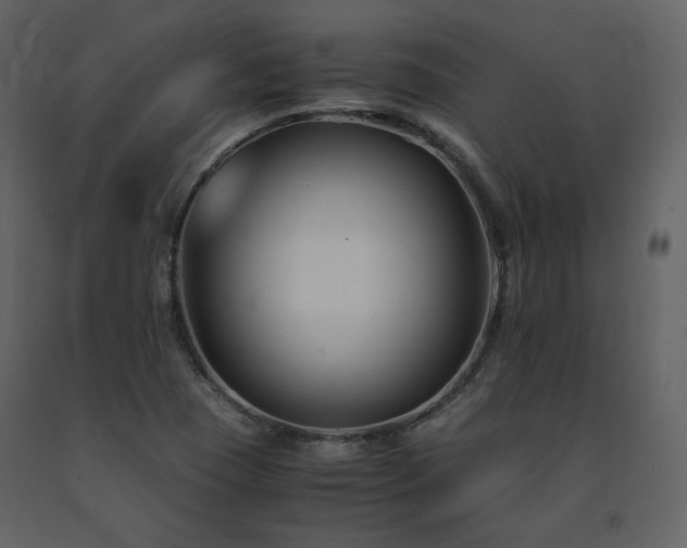 X0000091661409200708231254