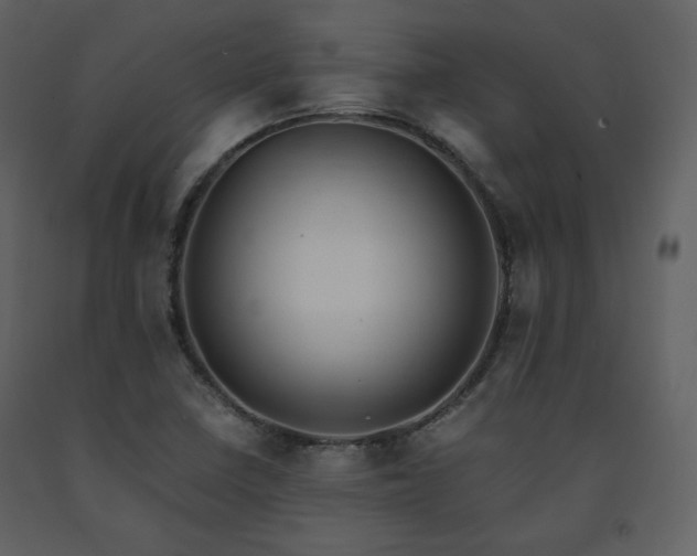 X0000091661410200708231254