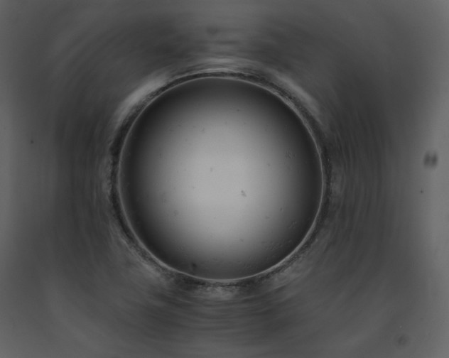 X0000091661411200708231254